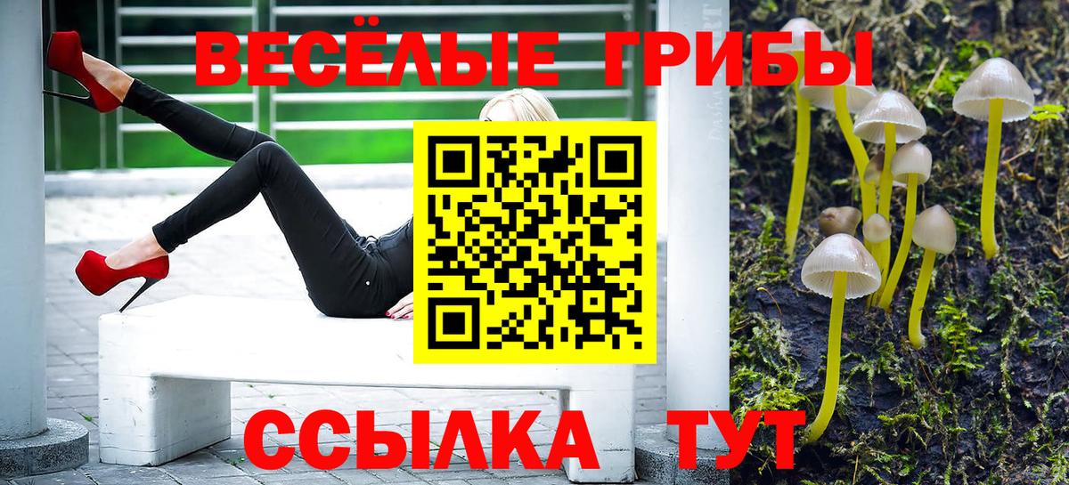 Мелеуз  Галлюциногенные грибы MAGIC MUSHROOMS  Вход с VPN  Галлюциногенные грибы MAGIC MUSHROOMS 